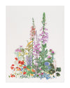 Thea Gouverneur - Counted Cross Stitch Kit - American Wild Flowers - Linen - 32 count - 554 - Thea Gouverneur Since 1959