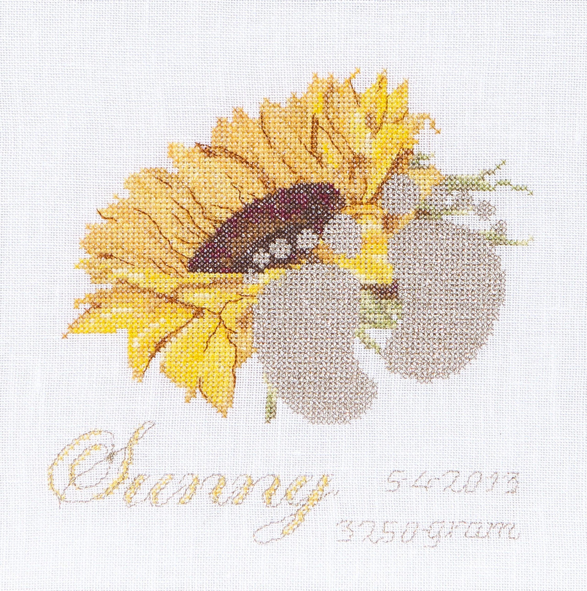 Thea Gouverneur - Counted Cross Stitch Kit - Birth Sampler Sunny - Aida - 18 count - 507A - Thea Gouverneur Since 1959