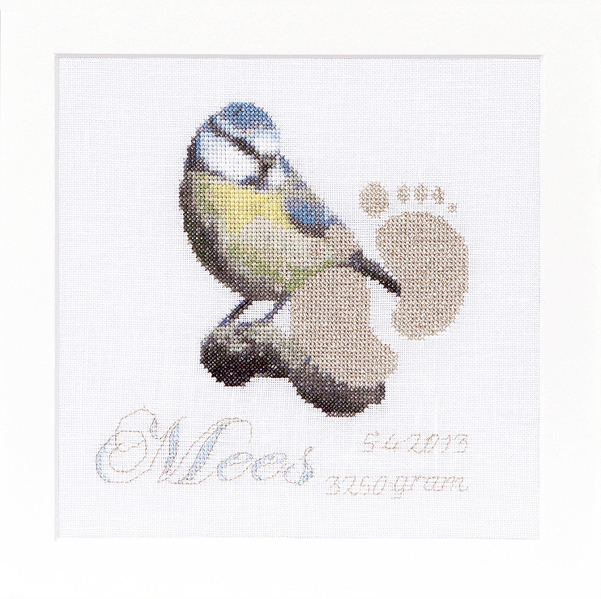 Thea Gouverneur - Counted Cross Stitch Kit - Birth Sampler Tit - Aida - 18 count - 509A - Thea Gouverneur Since 1959