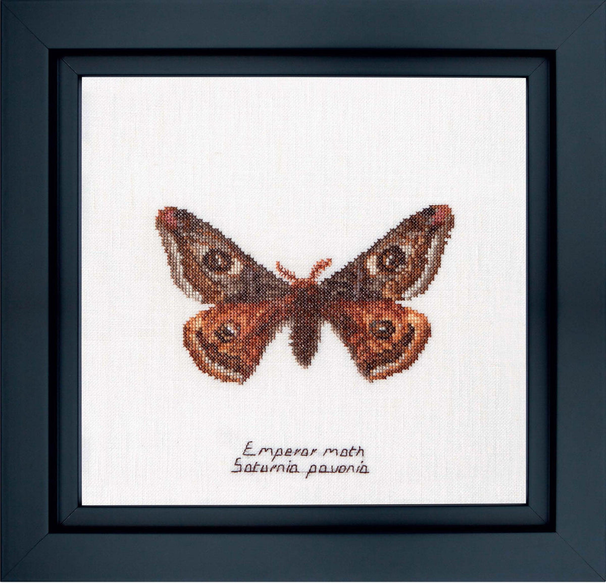 Thea Gouverneur - Counted Cross Stitch Kit - Emperor moth - Aida - 16 count - 562A - Thea Gouverneur Since 1959