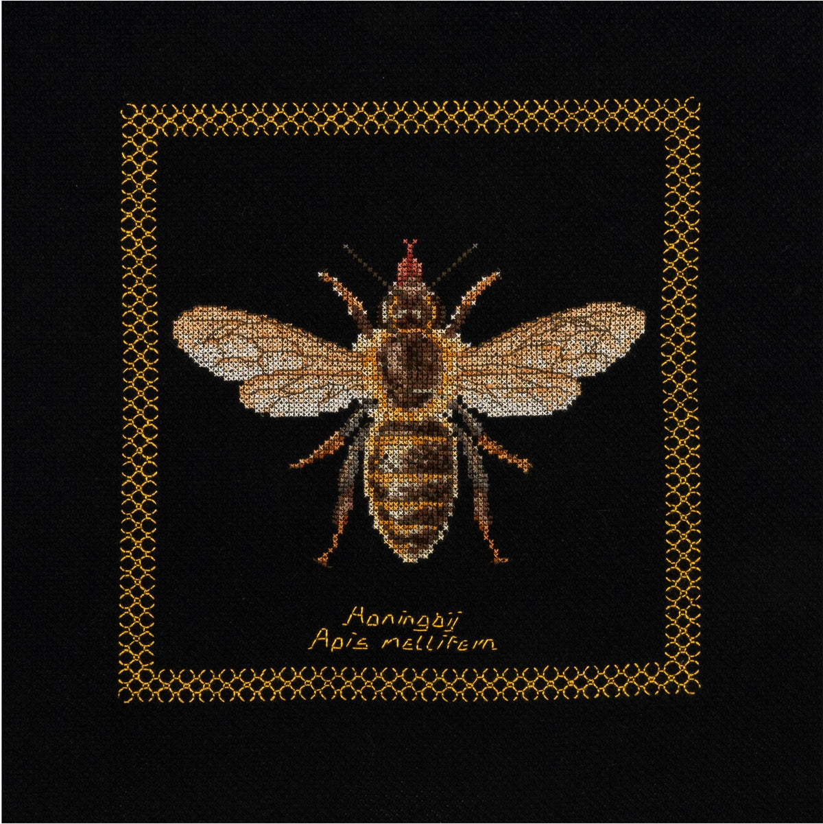 Thea Gouverneur - Counted Cross Stitch Kit - Honey Bee - Aida Black - 18 count - 3017.05 - Thea Gouverneur Since 1959
