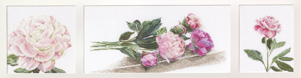 Thea Gouverneur - Counted Cross Stitch Kit - Peonies - Aida - 18 count - 433A - Thea Gouverneur Since 1959