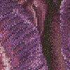 Thea Gouverneur - Counted Cross Stitch Kit - Purple Triumph Tulip - Linen - 32 count - 514 - Thea Gouverneur Since 1959