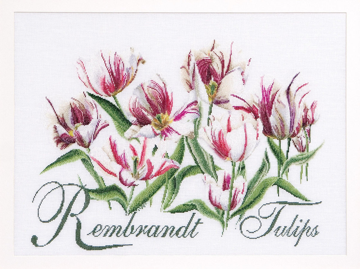 Thea Gouverneur - Counted Cross Stitch Kit - Rembrandt Tulips - Aida - 16 count - 447A - Thea Gouverneur Since 1959