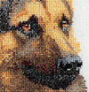 Thea Gouverneur - Counted Cross Stitch Kit - Shepherd's Dog - Aida - 12 count - 934A - Thea Gouverneur Since 1959