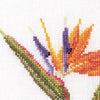 Thea Gouverneur - Counted Cross Stitch Kit - Six Floral Studies - 1 - Aida - 18 count - 3081A - Thea Gouverneur Since 1959