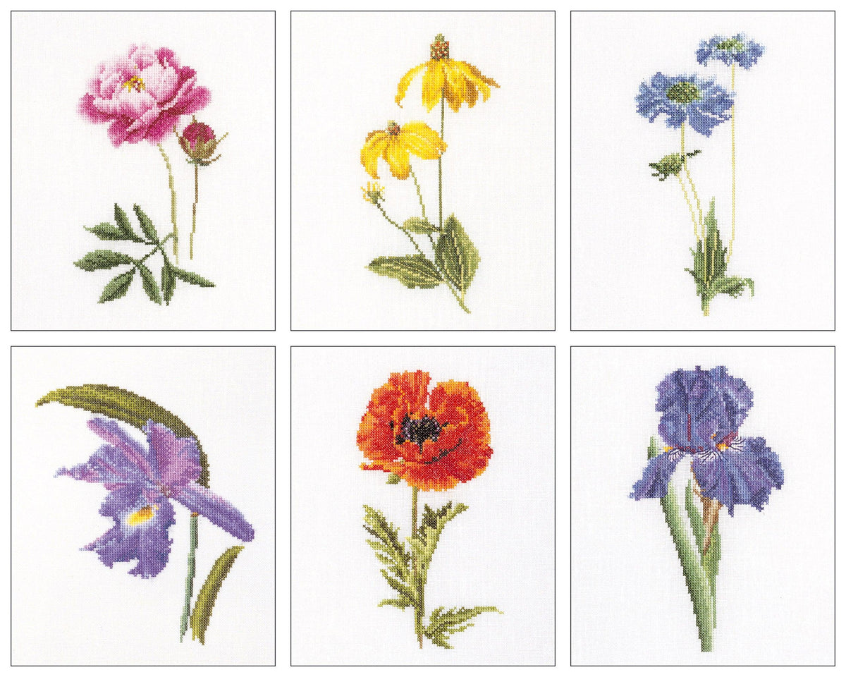 Thea Gouverneur - Counted Cross Stitch Kit - Six Floral Studies - 3 - Aida - 18 count - 3085A - Thea Gouverneur Since 1959