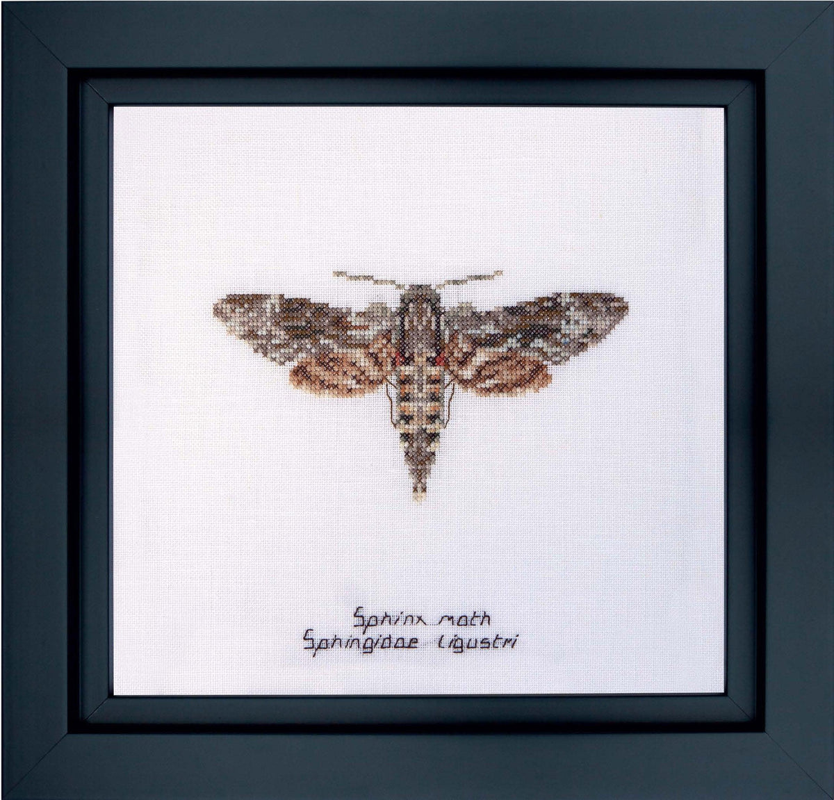 Thea Gouverneur - Counted Cross Stitch Kit - Sphinx moth - Linen - 32 count - 564 - Thea Gouverneur Since 1959