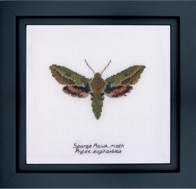 Thea Gouverneur - Counted Cross Stitch Kit - Spurge Hawk moth - Linen - 32 count - 565 - Thea Gouverneur Since 1959