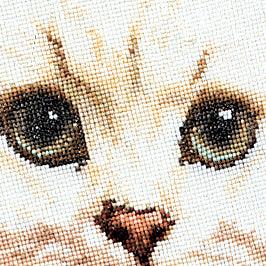 Thea Gouverneur - Counted Cross Stitch Kit - White Persian Cat - Linen - 32 count - 1045 - Thea Gouverneur Since 1959