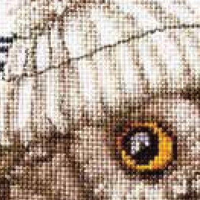 Thea Gouverneur - Counted Cross Stitch Kit - Whoo..Whoo..It's Winter - Aida - 16 count - 743A - Thea Gouverneur Since 1959