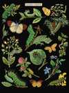 Caterpillars & Butterflies - Aida - 16 count - 587.05