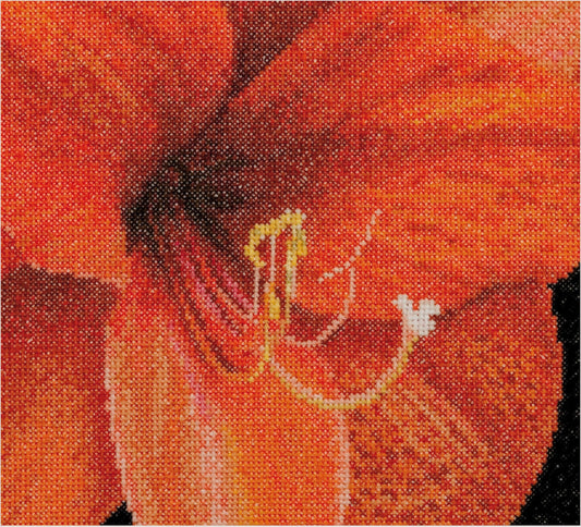 Thea Gouverneur - Counted Cross Stitch Kit - Amaryllis - Aida - 18 count - 496A - Thea Gouverneur Since 1959