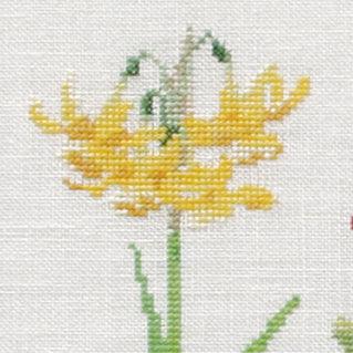 Thea Gouverneur - Counted Cross Stitch Kit - Bulbs - Aida - 16 count - 1087A - Thea Gouverneur Since 1959