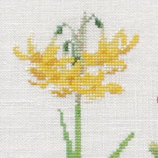 Thea Gouverneur - Counted Cross Stitch Kit - Bulbs - Linen - 32 count - 1087 - Thea Gouverneur Since 1959