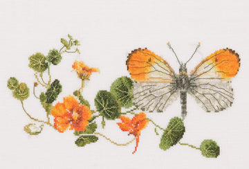 Thea Gouverneur - Counted Cross Stitch Kit - Butterfly-Nasturtium - Linen - 36 count - 437 - Thea Gouverneur Since 1959