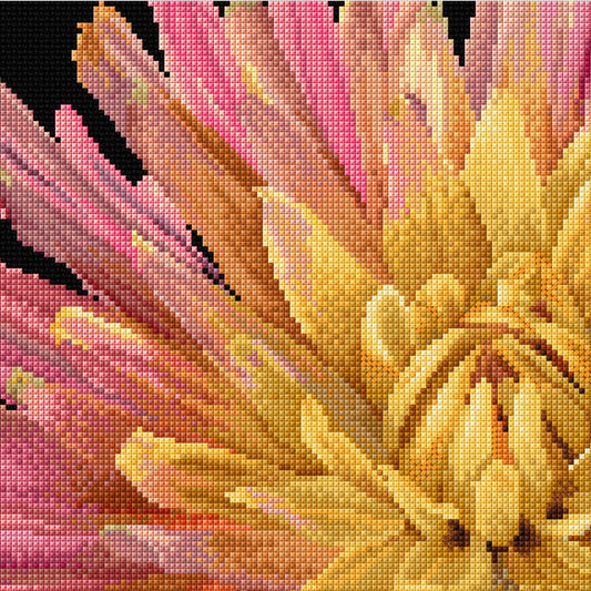 Thea Gouverneur - Counted Cross Stitch Kit - Dahlia - Aida Black - 18 count - 441.05 - Thea Gouverneur Since 1959