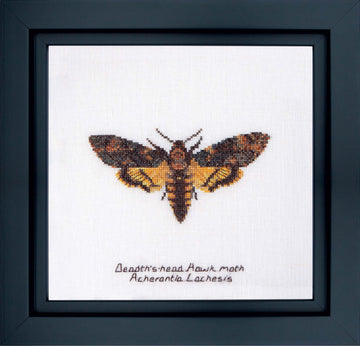 Thea Gouverneur - Counted Cross Stitch Kit - Death's-head Hawk moth - Linen - 32 count - 563 - Thea Gouverneur Since 1959