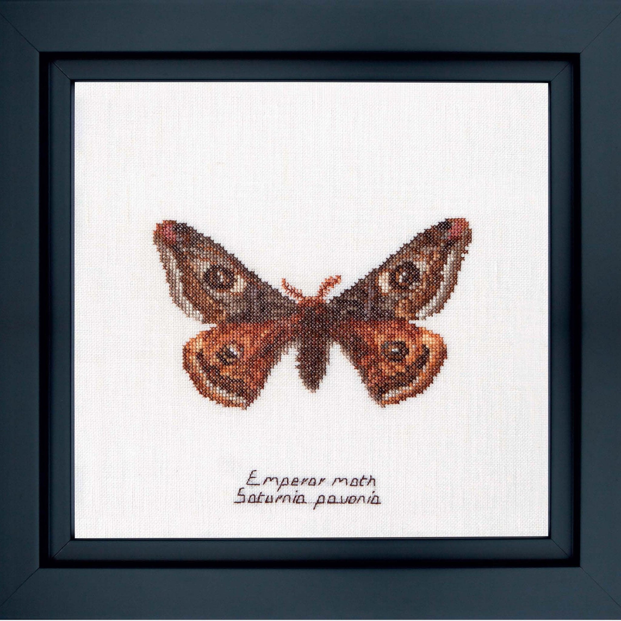 Thea Gouverneur - Counted Cross Stitch Kit - Emperor moth - Linen - 32 count - 562 - Thea Gouverneur Since 1959