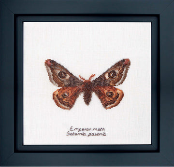 Thea Gouverneur - Counted Cross Stitch Kit - Emperor moth - Linen - 32 count - 562 - Thea Gouverneur Since 1959