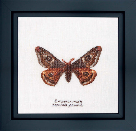 Thea Gouverneur - Counted Cross Stitch Kit - Emperor moth - Linen - 32 count - 562 - Thea Gouverneur Since 1959