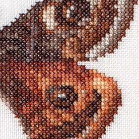 Thea Gouverneur - Counted Cross Stitch Kit - Emperor moth - Linen - 32 count - 562 - Thea Gouverneur Since 1959