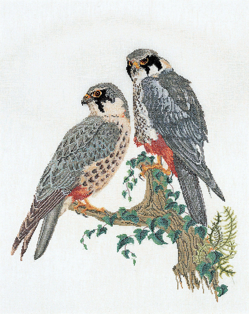 Thea Gouverneur - Counted Cross Stitch Kit - Falcons - Linen - 32 count - 2024 - Thea Gouverneur Since 1959