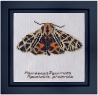 Thea Gouverneur - Counted Cross Stitch Kit - Harnessed Tiger moth - Linen - 32 count - 569 - Thea Gouverneur Since 1959