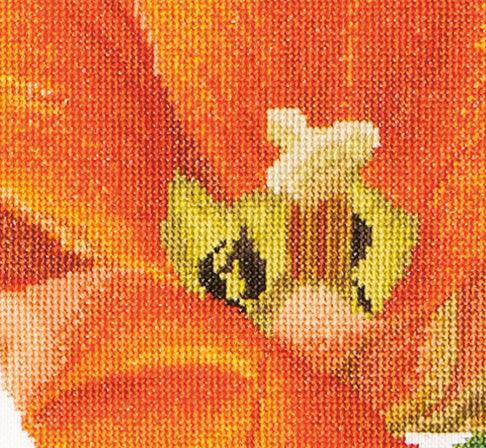 Thea Gouverneur - Counted Cross Stitch Kit - Orange Triumph Tulip - Linen - 32 count - 523 - Thea Gouverneur Since 1959