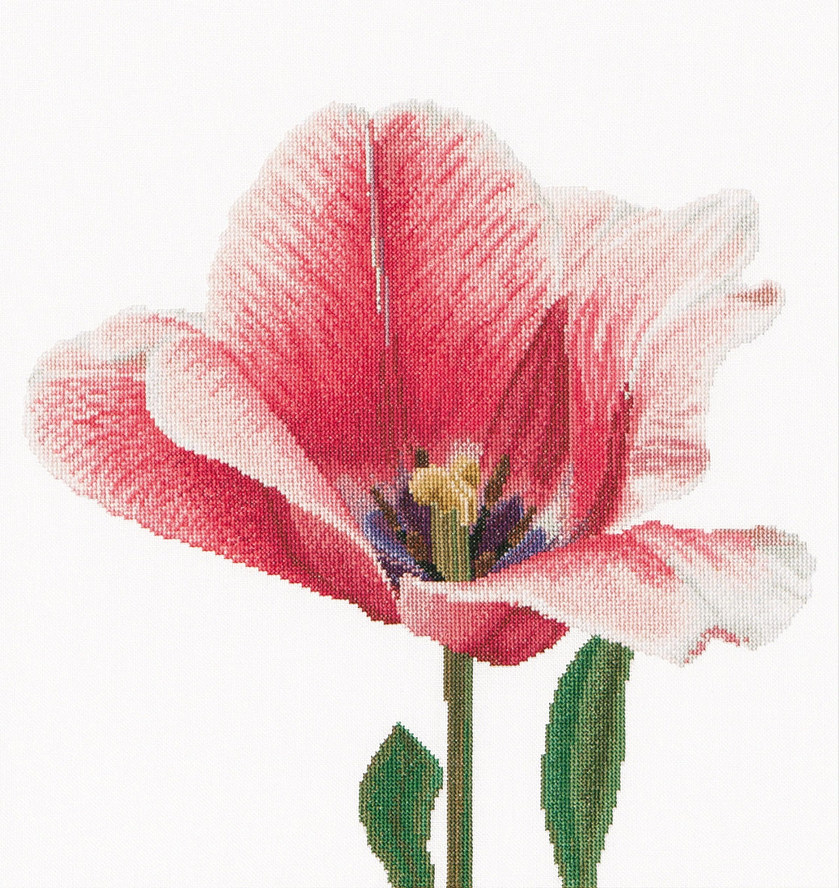 Thea Gouverneur - Counted Cross Stitch Kit - Pink Darwin Hybrid Tulip - Linen - 32 count - 518 - Thea Gouverneur Since 1959
