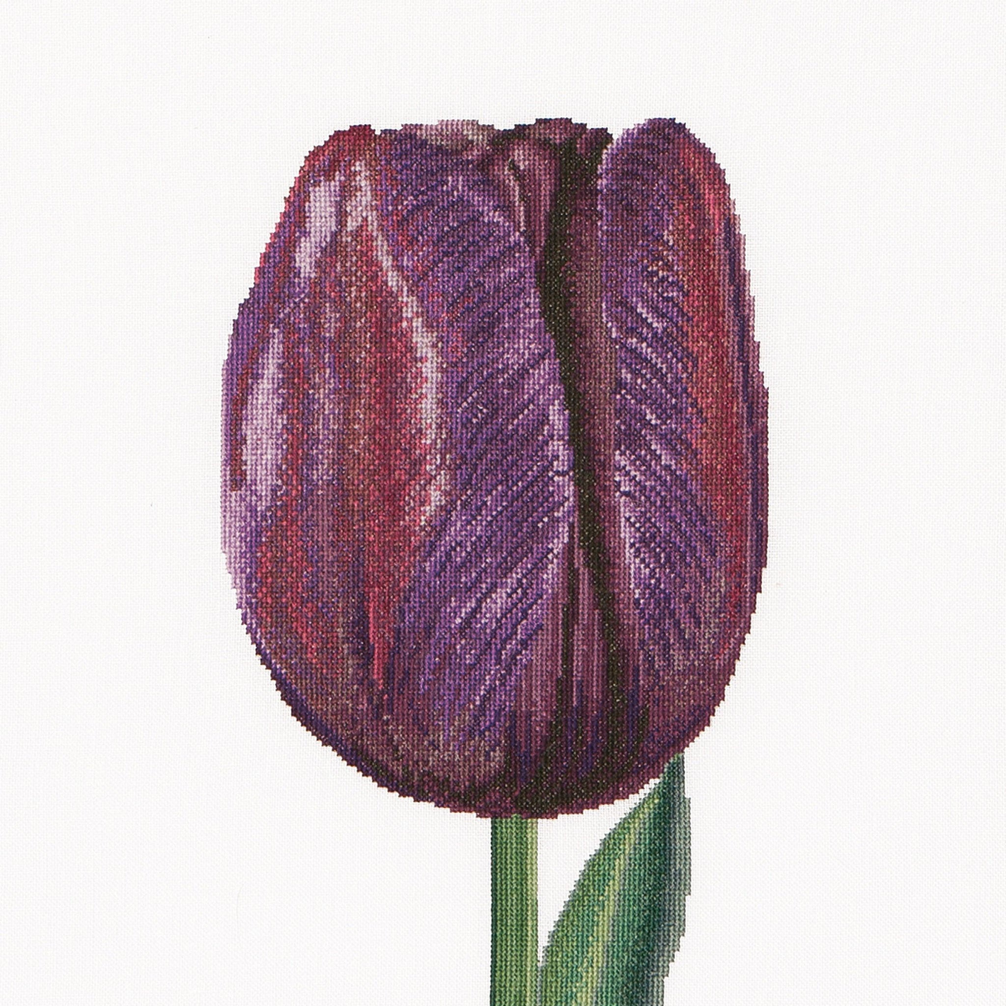 Thea Gouverneur - Counted Cross Stitch Kit - Purple Triumph Tulip - Linen - 32 count - 514 - Thea Gouverneur Since 1959