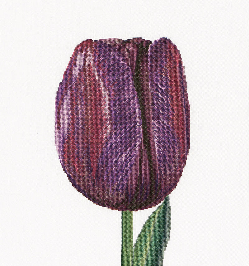 Thea Gouverneur - Counted Cross Stitch Kit - Purple Triumph Tulip - Linen - 32 count - 514 - Thea Gouverneur Since 1959