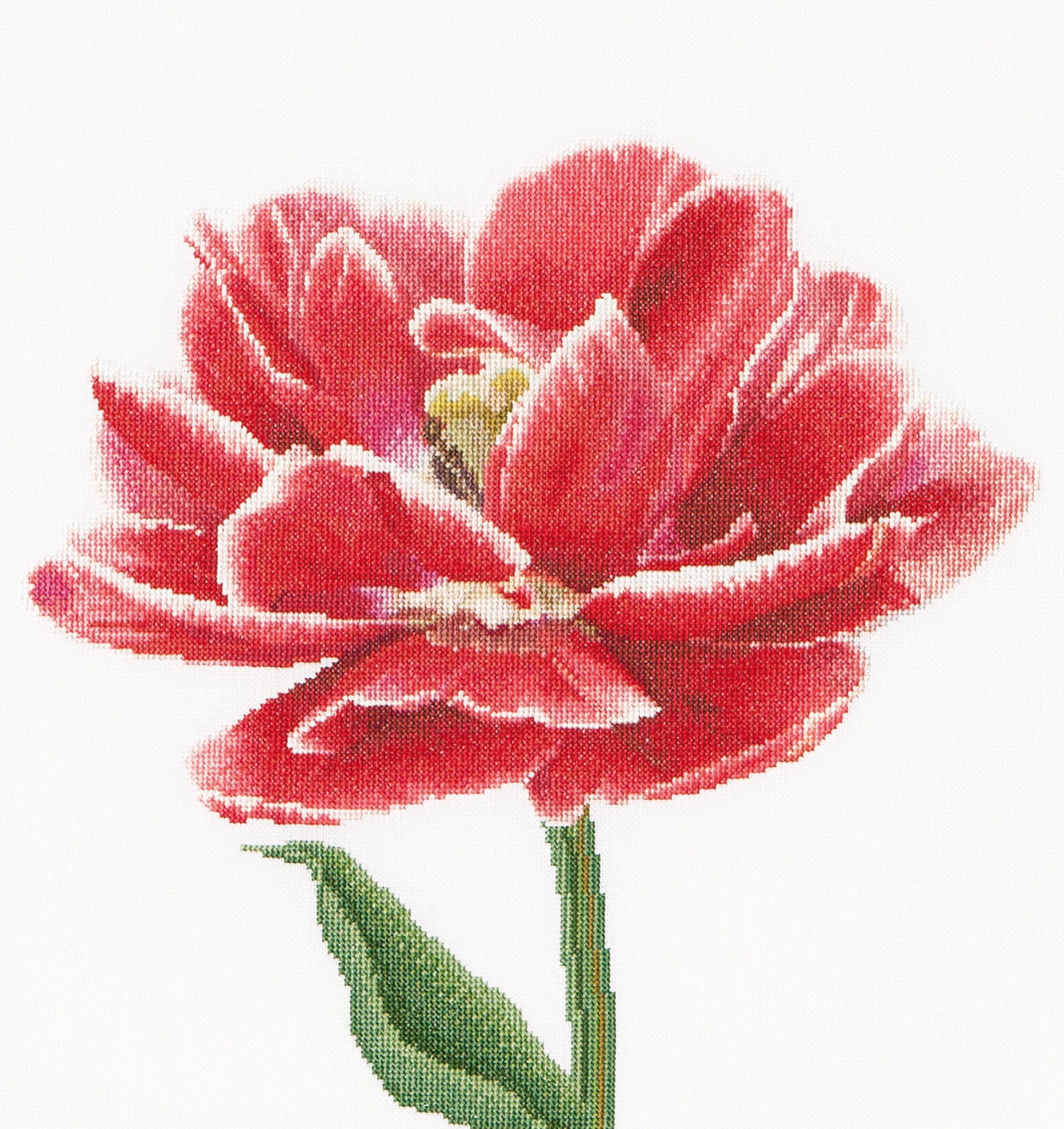 Thea Gouverneur - Counted Cross Stitch Kit - Red/White Edged Early Double Tulip - Linen - 32 count - 520 - Thea Gouverneur Since 1959