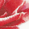 Thea Gouverneur - Counted Cross Stitch Kit - Red/White Edged Early Double Tulip - Linen - 32 count - 520 - Thea Gouverneur Since 1959