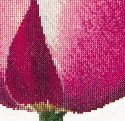 Thea Gouverneur - Counted Cross Stitch Kit - Red/White Triumph Tulip - Linen - 32 count - 517 - Thea Gouverneur Since 1959