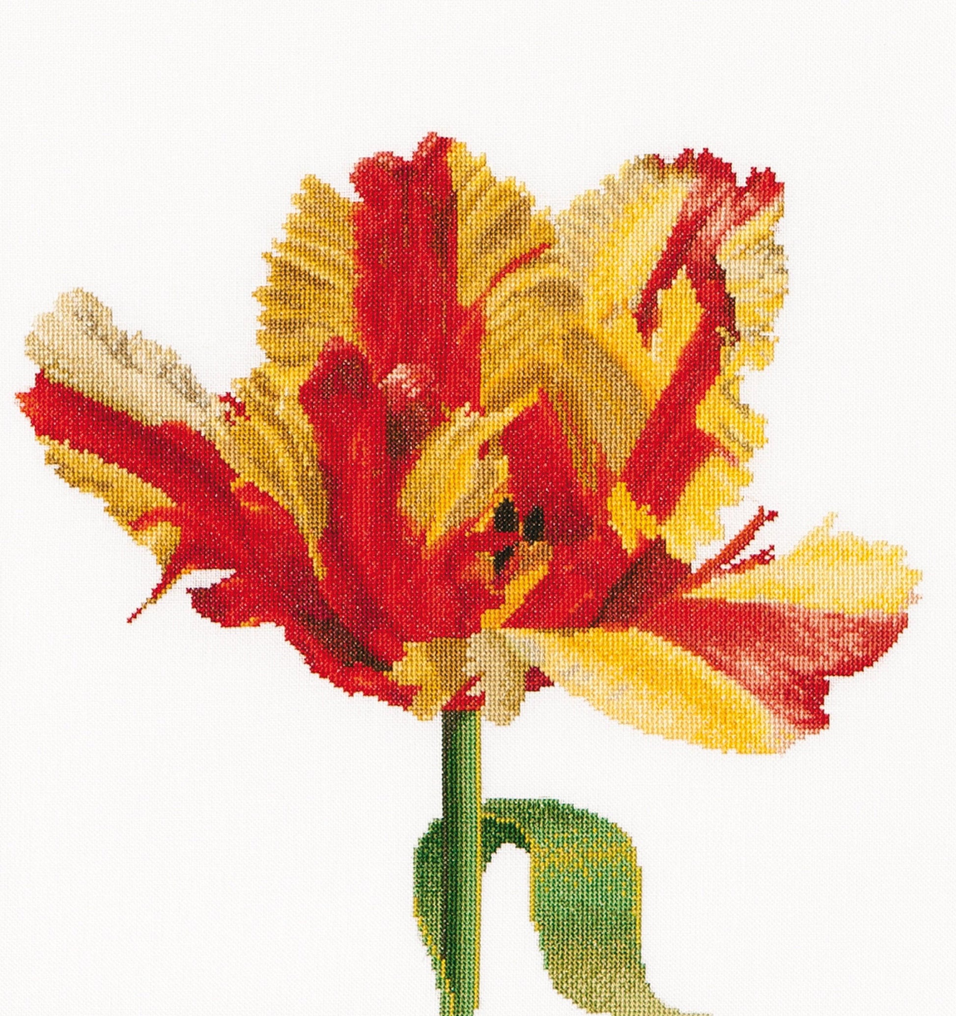 Thea Gouverneur - Counted Cross Stitch Kit - Red/Yellow Parrot tulip - Aida - 16 count - 519A - Thea Gouverneur Since 1959