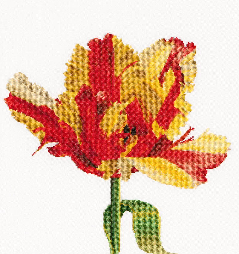 Thea Gouverneur - Counted Cross Stitch Kit - Red/Yellow Parrot tulip - Aida - 16 count - 519A - Thea Gouverneur Since 1959