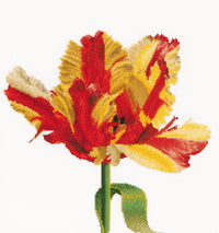Thea Gouverneur - Counted Cross Stitch Kit - Red/Yellow Parrot Tulip - Linen - 32 count - 519 - Thea Gouverneur Since 1959