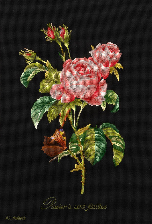 Thea Gouverneur - Counted Cross Stitch Kit - Rose Redouté - Aida Black - 18 count - 2030.05 - Thea Gouverneur Since 1959