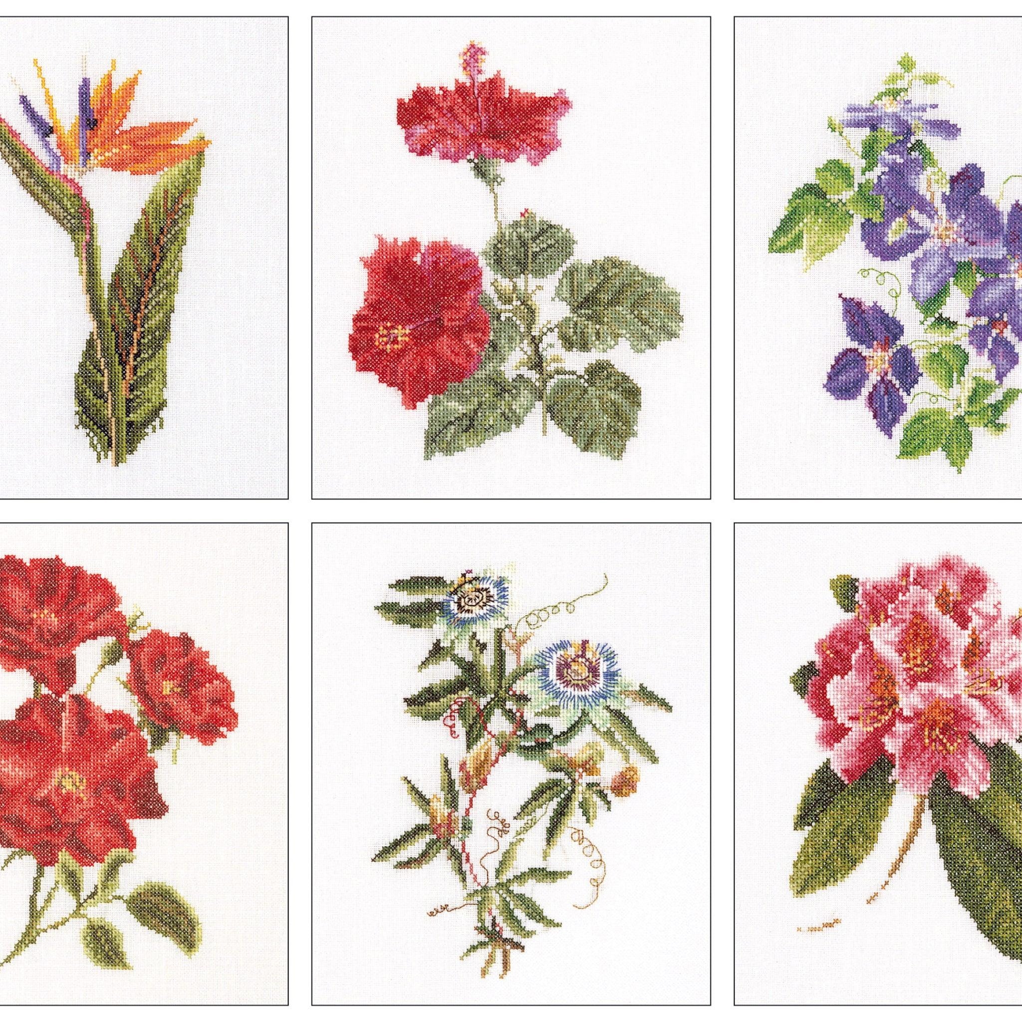 Thea Gouverneur - Counted Cross Stitch Kit - Six Floral Studies - 1 - Aida - 18 count - 3081A - Thea Gouverneur Since 1959