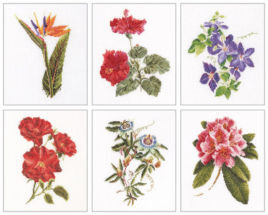 Thea Gouverneur - Counted Cross Stitch Kit - Six Floral Studies - 1 - Aida - 18 count - 3081A - Thea Gouverneur Since 1959