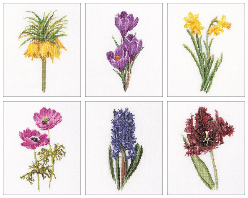 Thea Gouverneur - Counted Cross Stitch Kit - Six Floral Studies - 2 - Aida - 18 count - 3083A - Thea Gouverneur Since 1959