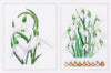 Thea Gouverneur - Counted Cross Stitch Kit - Snowdrops Panel - Aida - 18 count - 446A - Thea Gouverneur Since 1959
