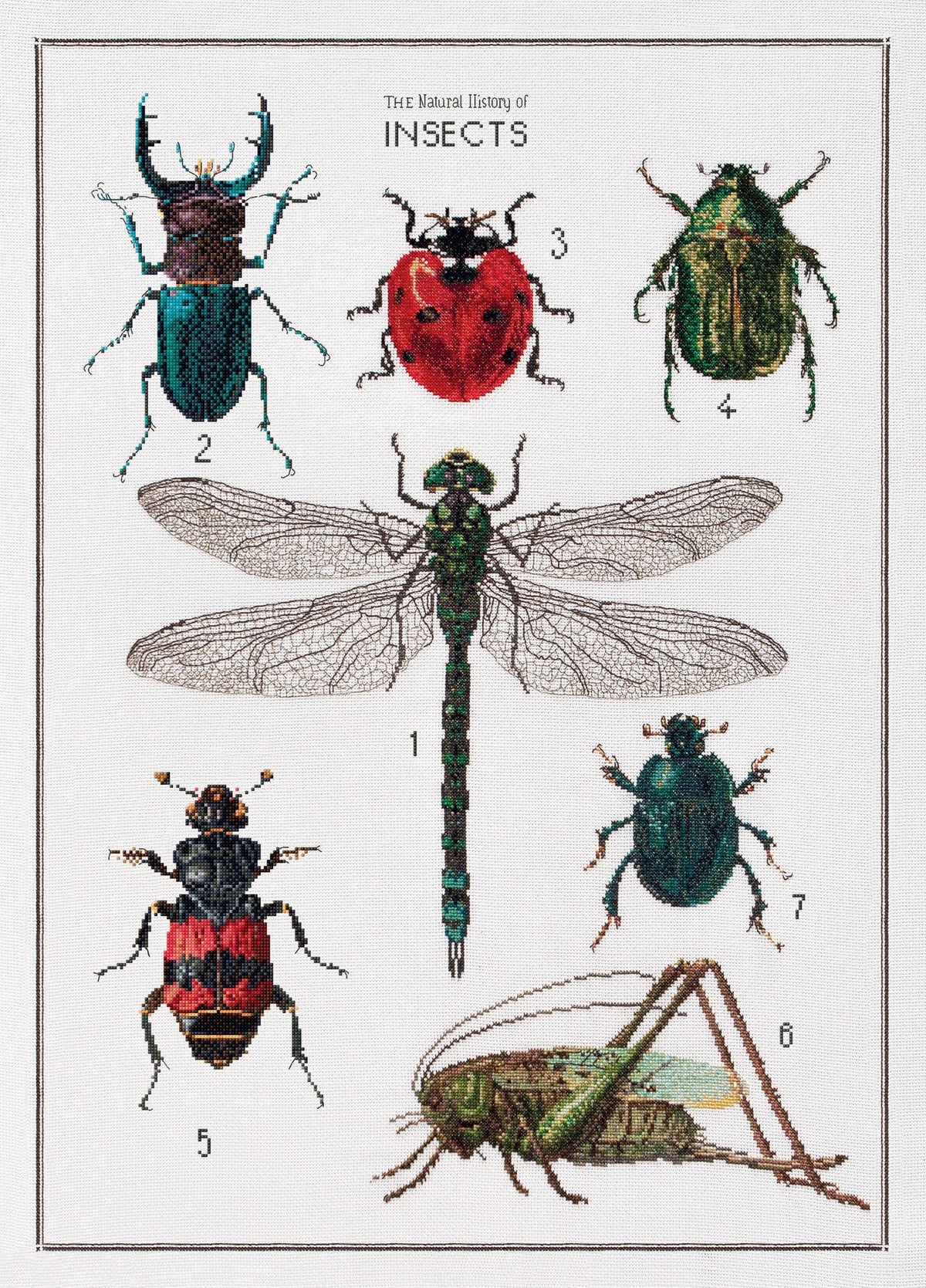 Thea Gouverneur - Counted Cross Stitch Kit - The History of Insects - Aida - 14 count - 566A - Thea Gouverneur Since 1959