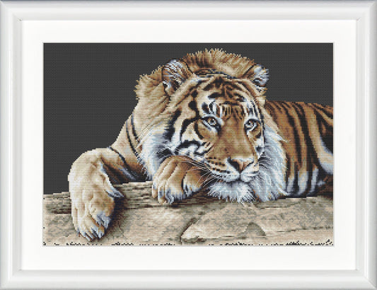 Thea Gouverneur - Counted Cross Stitch Kit - Tiger - Black Aida - 14 count - 579.05 - Thea Gouverneur Since 1959