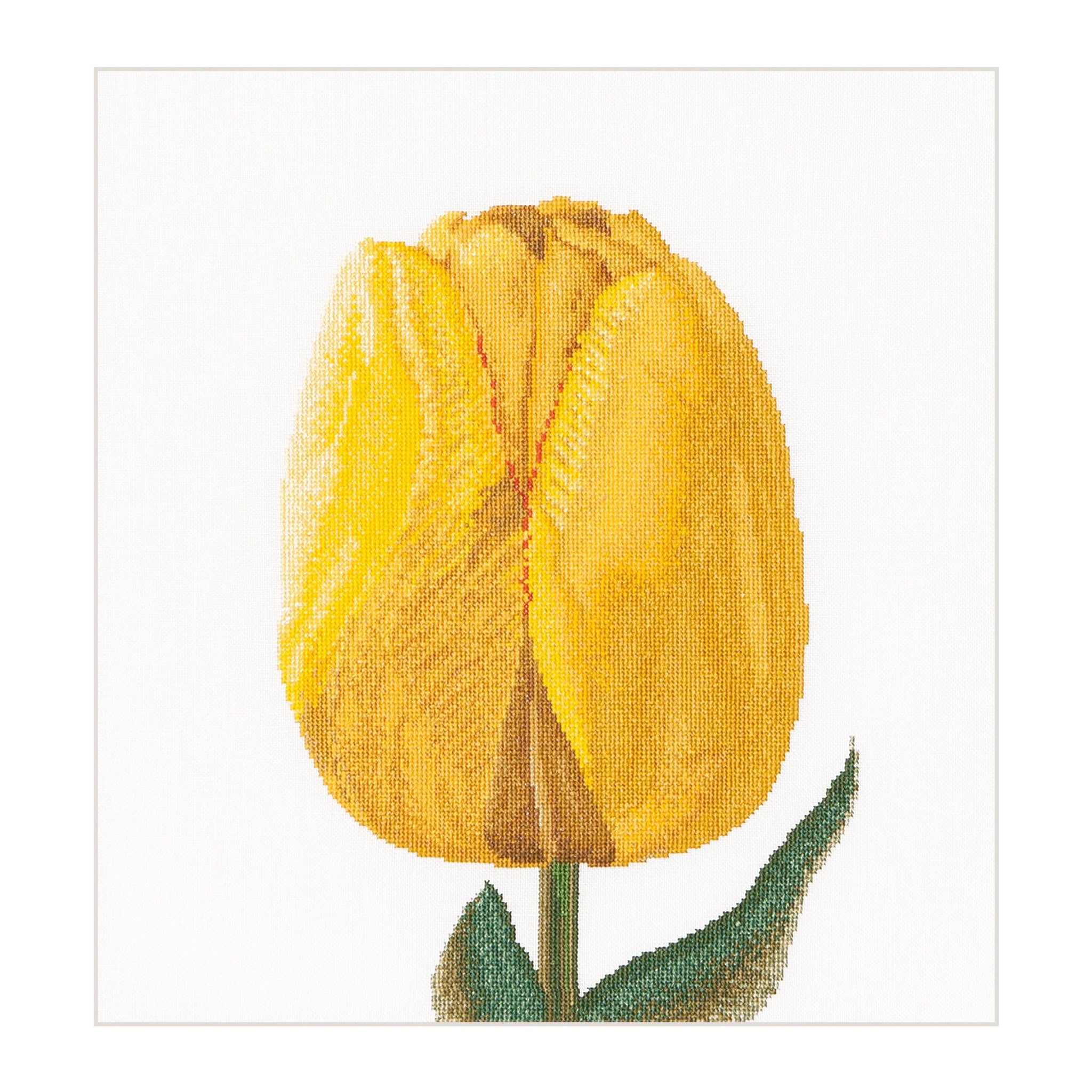 Thea Gouverneur - Counted Cross Stitch Kit - Yellow Hybrid Tulip - Linen - 32 count - 522 - Thea Gouverneur Since 1959