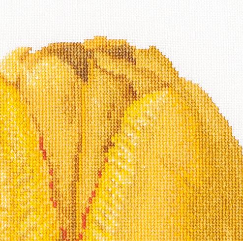 Thea Gouverneur - Counted Cross Stitch Kit - Yellow Hybrid Tulip - Linen - 32 count - 522 - Thea Gouverneur Since 1959